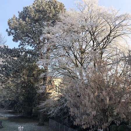 Bed and Breakfast Le Jardin De Fresnes Экстерьер фото